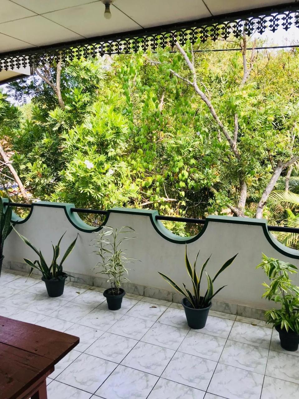 Dana Guest Home Mirissa Zewnętrze zdjęcie